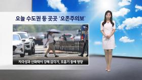 [이슈 날씨] 오늘 수도권 등 곳곳 '오존주의보'