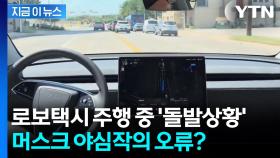 핸들 갈팡질팡하더니 급 회전...테슬라 로보택시 '오류' 속출 [지금이뉴스]