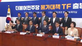 민주, 물가대책 TF 출범...