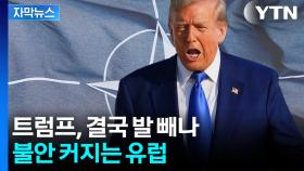 [자막뉴스] 