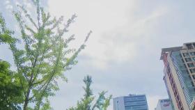 [날씨] 서울 첫 폭염경보, 오늘 36℃...동풍에 '고온 위험지역' 바뀐다
