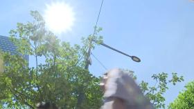 [날씨] 밤사이 체감 30℃ 육박...한낮엔 또 펄펄, '서울 37℃'