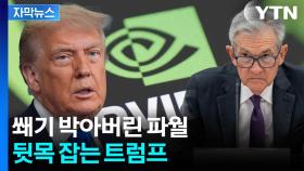 [자막뉴스] 엔비디아 '지붕 뚫고 하이킥'...찬물 제대로 끼얹은 파월