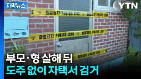 [자막뉴스] 