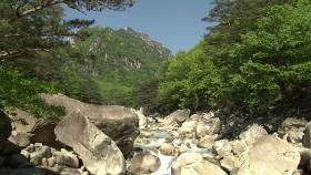 '한민족의 명산' 금강산, 유네스코 세계유산 등재