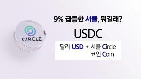 스테이블 코인 뭐길래? [앵커리포트]