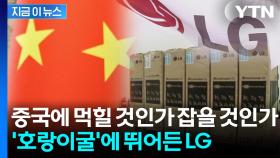 중국과 손잡고 '세계 제패' 노린다... LG전자의 파격적인 승부수 [지금이뉴스]