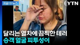 달리는 열차에 돌을 냅다...가해자 추적 [지금이뉴스]