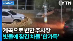 [자막뉴스] 