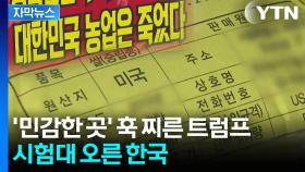 [자막뉴스] 