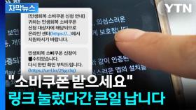 [자막뉴스] 소비쿠폰 받으려다 정보 '탈탈'...스미싱 문자, 이렇게 구분하세요