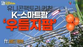 [유팩키친⑦]축구장 면적 13배 국내 대표 '스마트팜'…내년 코스닥 간다