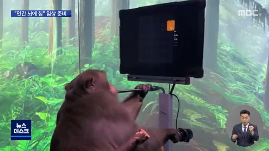 TV ZUM Poster