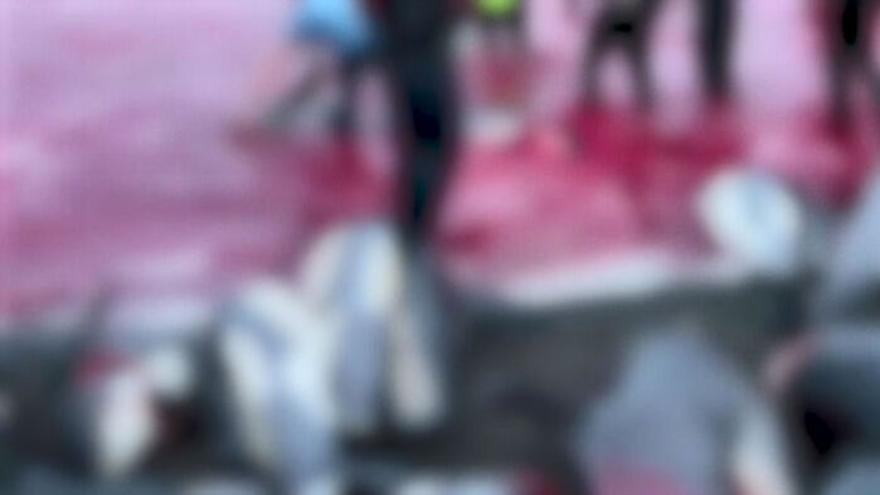 TV ZUM Poster