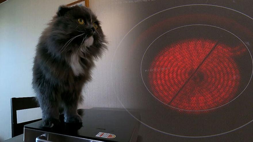 TV ZUM Poster