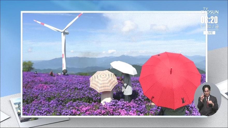 TV ZUM Poster