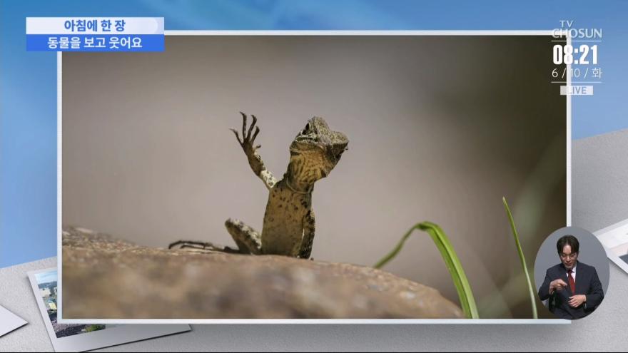 TV ZUM Poster