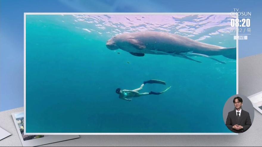 TV ZUM Poster