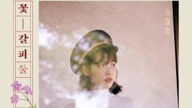 아이유, ′꽃갈피 둘′ 22일 발매 확정 ′감성 충만′