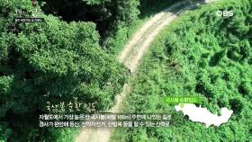 자월도 국사봉 근처 걸을 수 있는 곳, 국사봉 임도