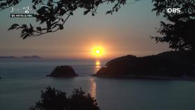 붉은 달이 뜨고 지는, 모든 순간이 아름다운 자월도