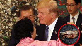 일본, 트럼프 만찬 이용수 할머니 초청·독도새우에 ′발끈′