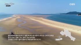 어머~ 이건 꼭 봐야해! 국보급 천혜의 자원, 대이작도 풀등