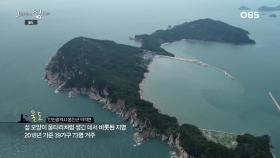 덕적팔경 울도어화의 고장, 울도라는 섬