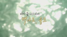 바다 끝 외딴섬으로~ 백아도, 울도
