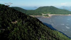 호랑이 담배 피던 시절의 이야기! 10년 전까지 산을 넘어 다닌 백아도 사람들, 백아도 옛길 속으로~