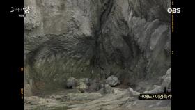 백아도 남봉 갯티! 대자연의 숭고미, 섬 주민의 애환에 애도를 표하다