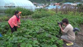 엄마 도깨비의 작업, 그리고 사진작가의 작업