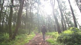 승봉도 산림욕장에서 쉬어가다