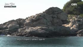 문갑도엔 섬을 지키는 ′사자′가 있다?!