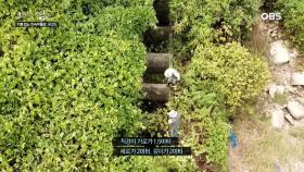 새우젓 담은 독을 보관했던 그 곳, 문갑 항고