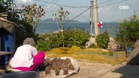 문갑도 최고령 할머니의 보물, 다듬잇돌