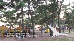 캠핑족들의 성지, 장봉도 옹암해변