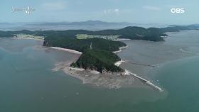 더할 나위 없어라, 장봉도