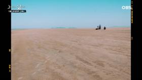 바다 위에 떠오른 거대한 육지, 장봉도 만도리 풀등의 이색적 풍경