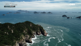 섬 여행의 진정한 매력은? 백아도,울도에서 만난 인천섬의 치명적인 매력 대공개!