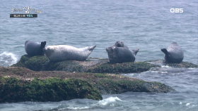천혜의 자연을 간직한 백령도 최고의 절경은?