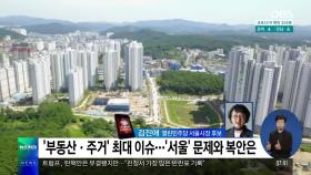 김진애 ＂′실사구시′ 서울시장 필요…코로나 속 시민들 지켜낼 것＂