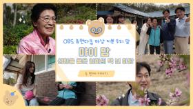 OBS ′마이맘′ 두 번째 이야기 ′엄마의 마당′