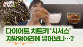 [건강한 家] 다이어트 치트키 시서스 지방분해 실험 해보니..