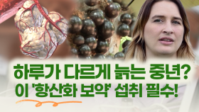 [건강한 家] 하루가 다르게 늙는 중년? 이 ′항산화 보약′ 섭취 필수!