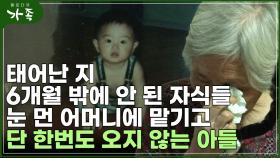 [다큐 ‘가족’ 97회②] 태어난 지 6개월 밖에 안된 자식들 눈먼 어머니에 맡기고 단 한 번도 오지 않은 아들