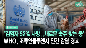 [자막뉴스] WHO, 조류인플루엔자 인간 감염 경고…＂감염자 52% 사망＂