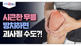 [건강 콜센터] 시큰한 무릎 방치하면 괴사될 수도?!