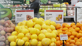 4월 소비자물가 2.9%↑…배·사과 고공행진 지속