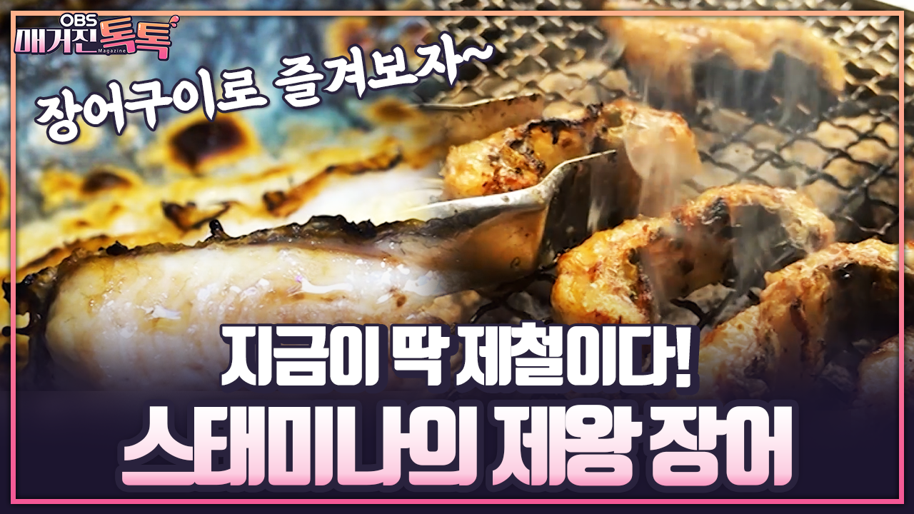 [매거진 톡톡] 지금이 딱 제철이다! 스태미나의 제왕 장어 | ZUM TV